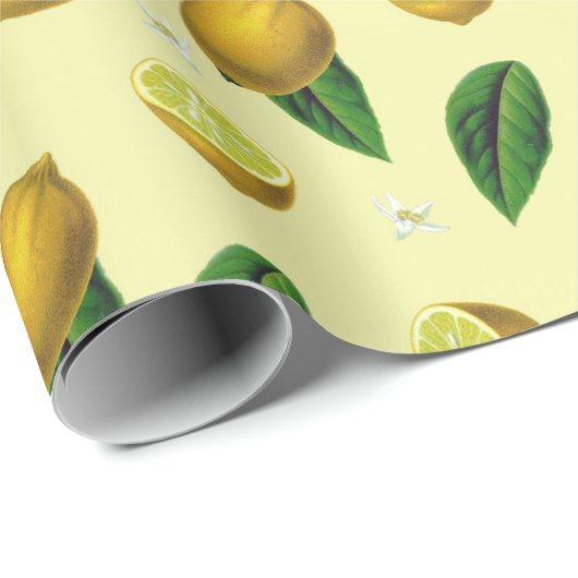 Citrus Wrapping Paper Cadeaupapier (Rol Hoek)