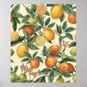 Citrusbloementuin Naadloos Patroon Poster (Voorkant)