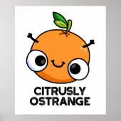 Citrusly Oodd Funny Strange Oranje Pun Poster (Voorkant)