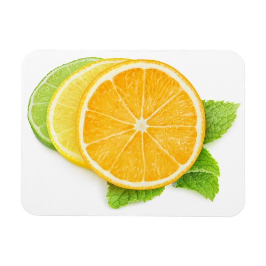 Citrusplakken Magneet (Horizontaal)