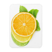 Citrusplakken Magneet (Verticaal)