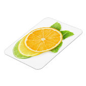 Citrusplakken Magneet (Linkerzijde)