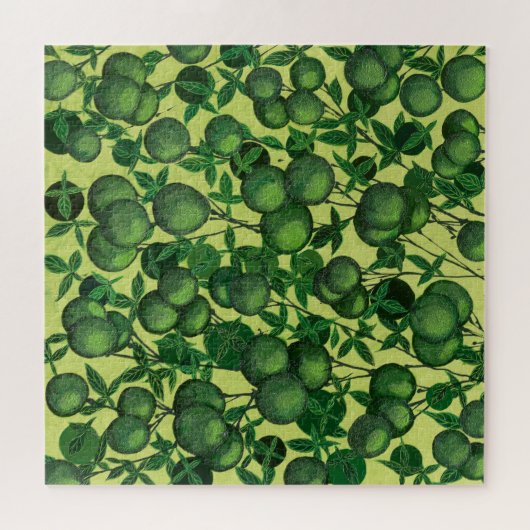 citruspuzzel legpuzzel (Horizontaal)