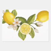 citrusvrucht inpakpapier vel (Voorkant 2)