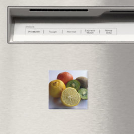 Citrusvruchten Magneet