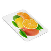 Citrusvruchten Magneet (Rechterzijde)