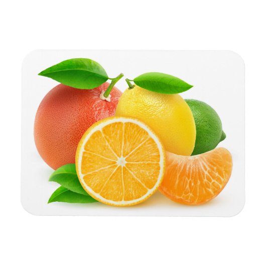 Citrusvruchten Magneet (Horizontaal)