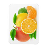 Citrusvruchten Magneet (Verticaal)