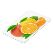 Citrusvruchten Magneet (Linkerzijde)
