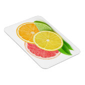 Citrusvruchten Magneet (Rechterzijde)
