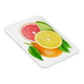 Citrusvruchten Magneet (Rechterzijde)
