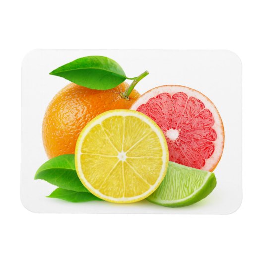 Citrusvruchten Magneet (Horizontaal)