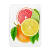 Citrusvruchten Magneet (Verticaal)