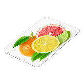 Citrusvruchten Magneet (Linkerzijde)