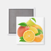 Citrusvruchten Magneet (Voorkant / Achterkant)