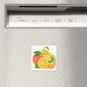 Citrusvruchten Magneet (Insitu (Vaatwasser))