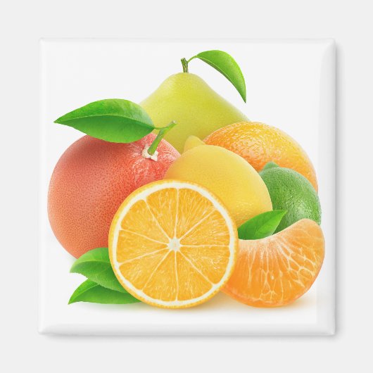 Citrusvruchten Magneet (Voorkant)