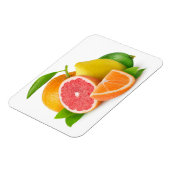 Citrusvruchten Magneet (Linkerzijde)