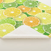 Citrusvruchtenmoten pop art. 3 sherpa deken (3/4)