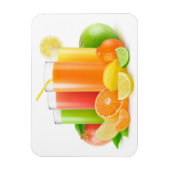 Citrusvruchtensappen Magneet (Verticaal)