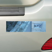 City Art Bumpersticker (Op auto)