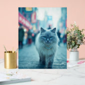City Chic: De Katwalk Koningin Acryl Bord (Huwelijk)