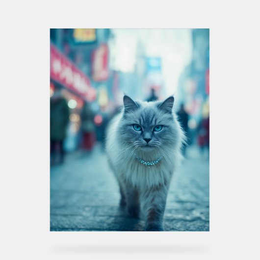 City Chic: De Katwalk Koningin Acryl Bord (Voorkant)