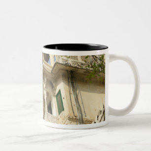 City Palace, Udaipur, Rajasthan, India Tweekleurige Koffiemok