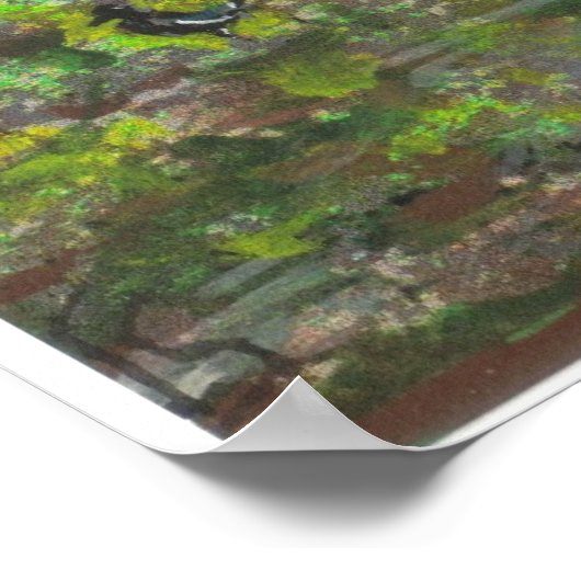 City Park Bridge, New Orleans Poster (Hoek)