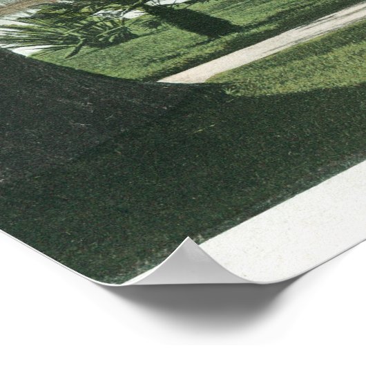 City Park ViewAlameda, CA Poster (Hoek)