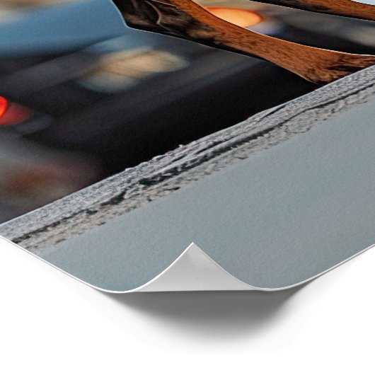 City Sentinel: Doberman in het Urban Oerwoud Poster (Hoek)