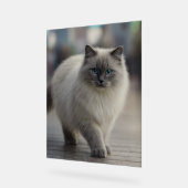 City Strolls and Sapphire Eyes Acryl Bord (Hoek)