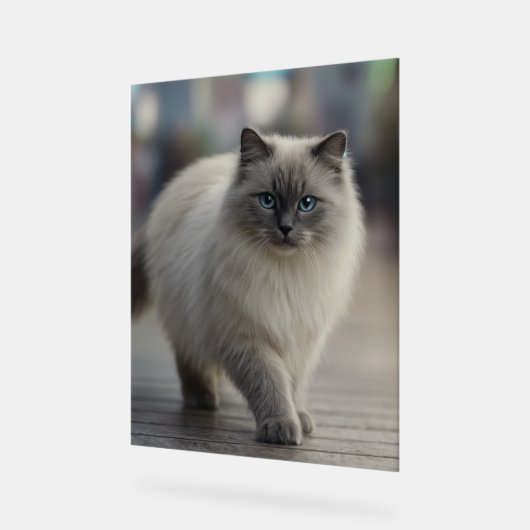 City Strolls and Sapphire Eyes Acryl Bord (Hoek)