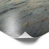 City Tiger Foto Afdruk (Hoek)