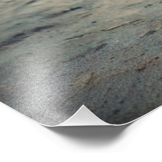 City Tiger Foto Afdruk (Hoek)