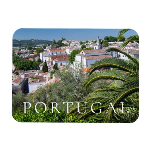 Cityscape of Aveiro, Portugal Magneet (Horizontaal)