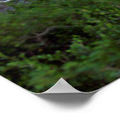 Cityscape van de top van Signal Hill in Dusk Poster (Hoek)