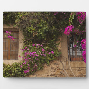 Ciudad Monumental, met bloemen bedekte gebouwen Fotoplaat