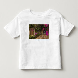 Ciudad Monumental, met bloemen bedekte gebouwen Kinder Shirts