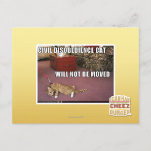 Civiele ongehoorzaamheid Cat Briefkaart