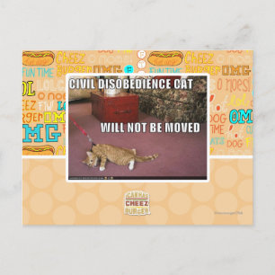 Civiele ongehoorzaamheid Cat Briefkaart