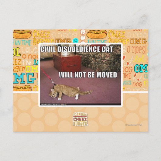 Civiele ongehoorzaamheid Cat Briefkaart (Voorkant)