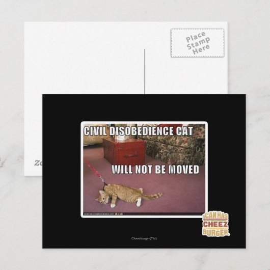Civiele ongehoorzaamheid Cat Briefkaart (Voorkant / Achterkant)