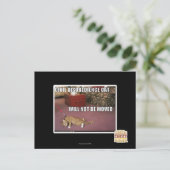 Civiele ongehoorzaamheid Cat Briefkaart (Staand voorkant)