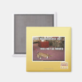Civiele ongehoorzaamheid Cat Magneet (Voorkant / Achterkant)