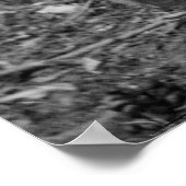 Civiele oorlogsbuizen: 1864 poster (Hoek)