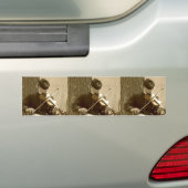 Civil War Fiddle Bumpersticker (Op auto)