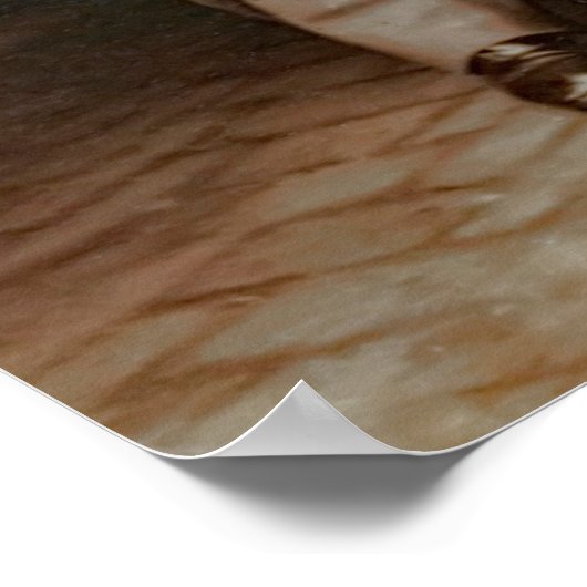 CIVIL WAR GENERAL LEE and PERSONFF 1865 Poster (Hoek)