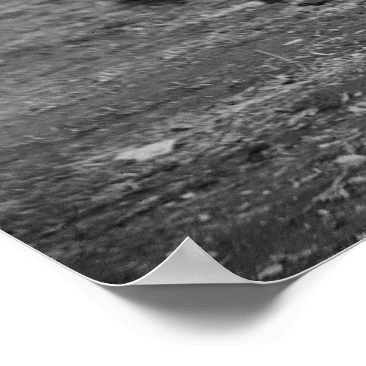 Civil War Horse, 1864 Poster (Hoek)