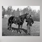 Civil War Horse, 1864 Poster (Voorkant)